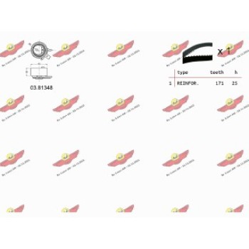 KIT TENDICINGHIA DISTRIBUZIONE