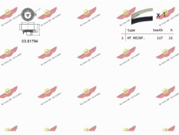 KIT TENDICINGHIA DISTRIBUZIONE