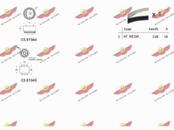 KIT TENDICINGHIA DISTRIBUZIONE