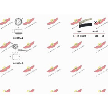 KIT TENDICINGHIA DISTRIBUZIONE