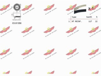 KIT TENDICINGHIA DISTRIBUZIONE