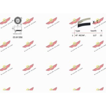 KIT TENDICINGHIA DISTRIBUZIONE