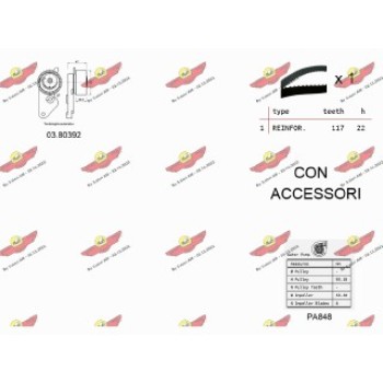 KIT TENDICINGHIA DISTRIBUZIONE CON POMPA ACQUA