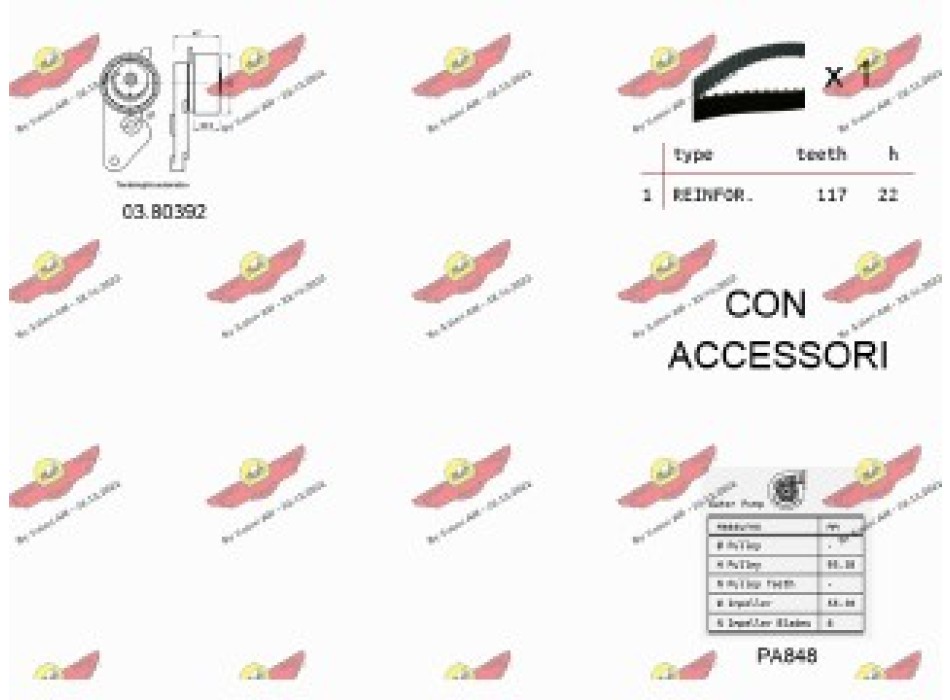 KIT TENDICINGHIA DISTRIBUZIONE CON POMPA ACQUA