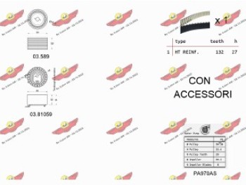 KIT TENDICINGHIA DISTRIBUZIONE CON POMPA ACQUA