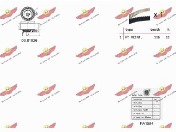 KIT TENDICINGHIA DISTRIBUZIONE CON POMPA ACQUA