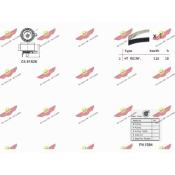 KIT TENDICINGHIA DISTRIBUZIONE CON POMPA ACQUA