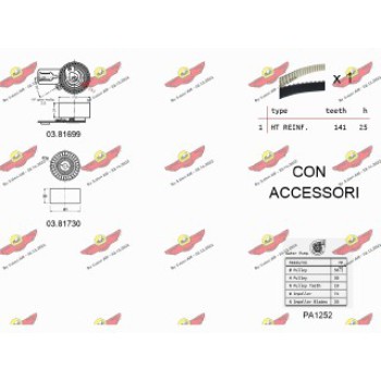 KIT TENDICINGHIA DISTRIBUZIONE CON POMPA ACQUA
