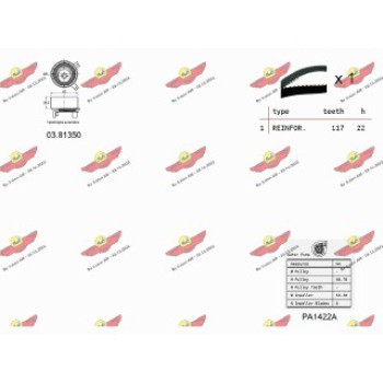 KIT TENDICINGHIA DISTRIBUZIONE CON POMPA ACQUA