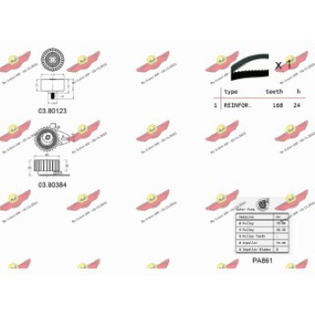 KIT TENDICINGHIA DISTRIBUZIONE CON POMPA ACQUA