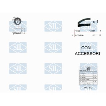 KIT TENDICINGHIA DISTRIBUZIONE CON POMPA ACQUA