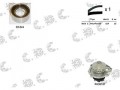Kit tendicinghia distribuzione + pompa acqua
