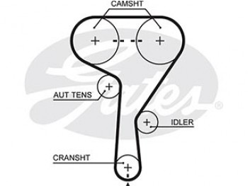 KT PG