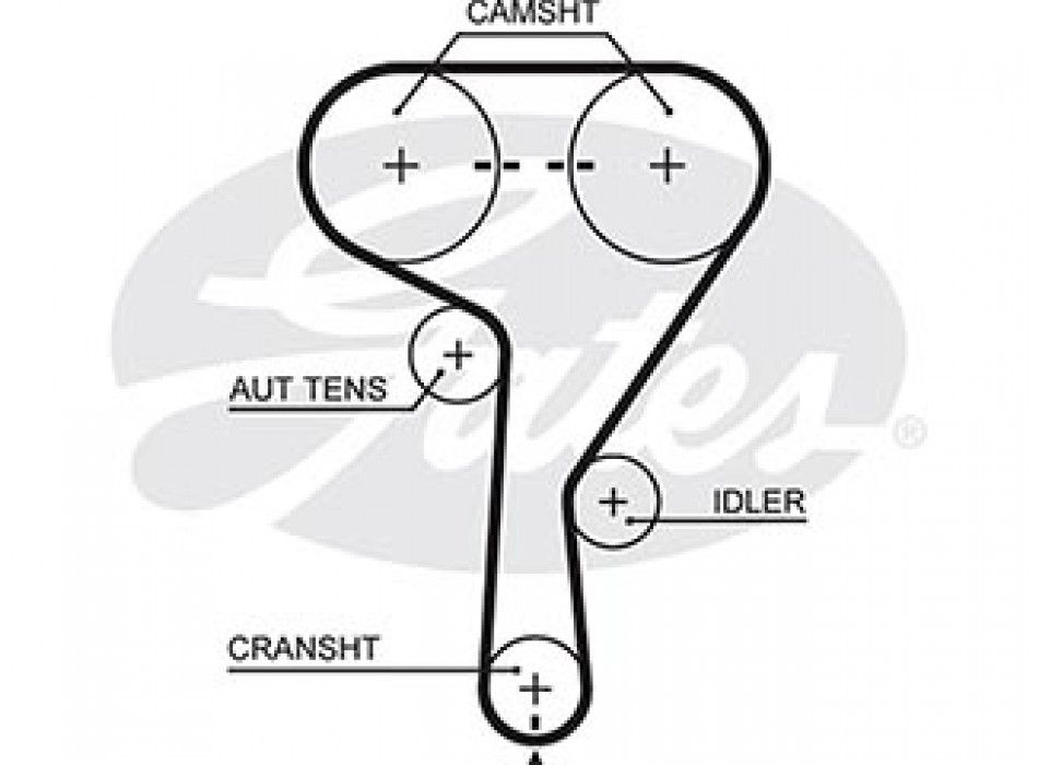 KT PG