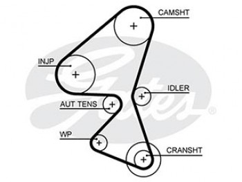 KT PG