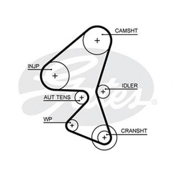 KT PG