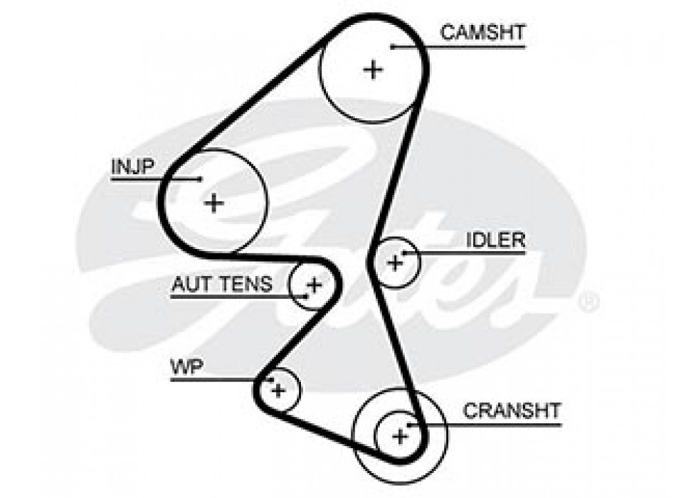 KT PG