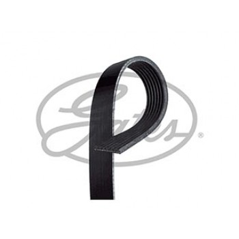 Micro-V Belt