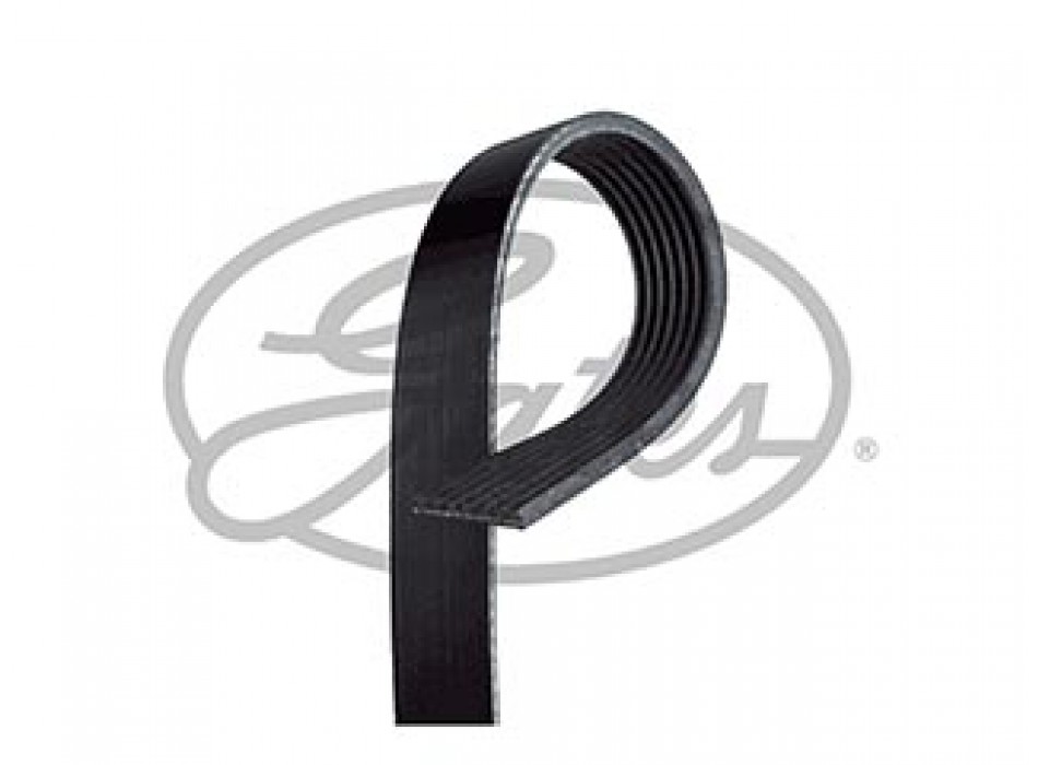 Micro-V Belt