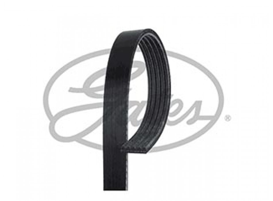 Micro-V Belt