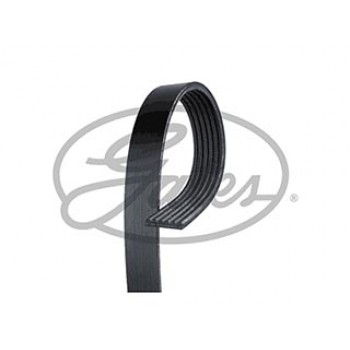 Micro-V Belt