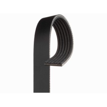 Micro-V© Belt