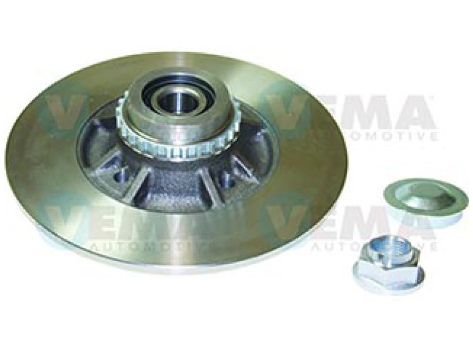 Mozzo ruota post. con disco RENAULT