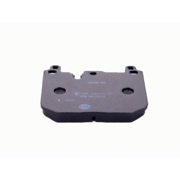 Pastiglie Freno (Kit)