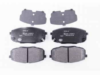 Pastiglie Freno (Kit)