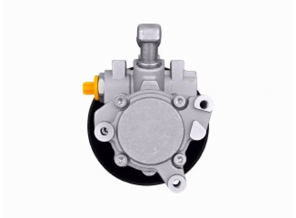 Pompa idraulica, Sterzo