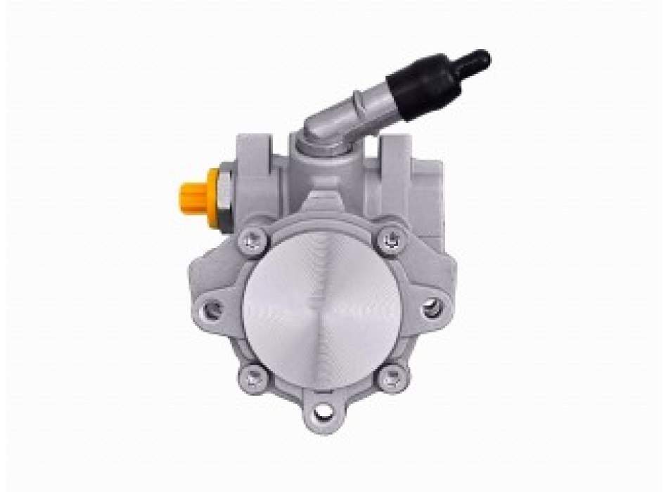 Pompa idraulica, Sterzo