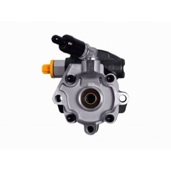 Pompa Idraulica, Sterzo