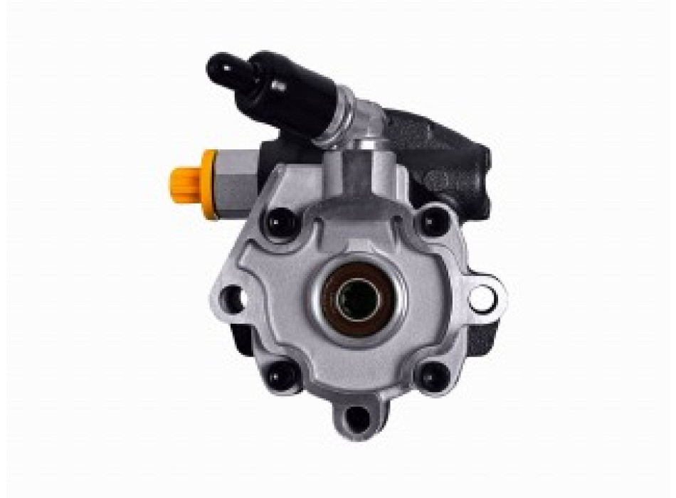 Pompa Idraulica, Sterzo