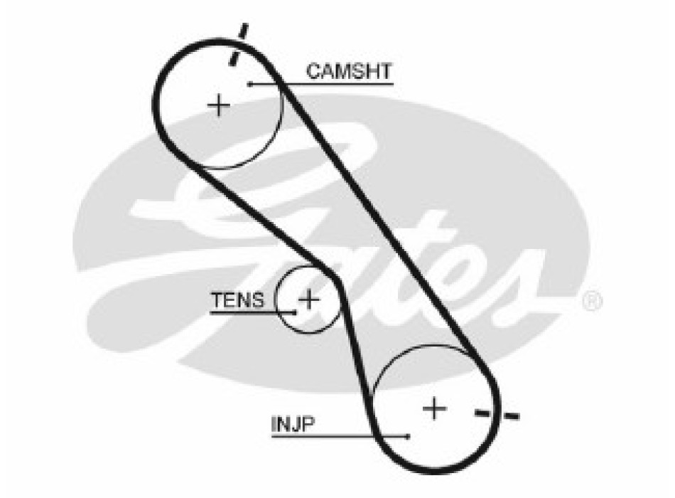 PowerGrip""_<_z_" Belt