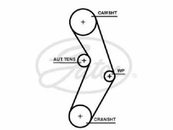 PowerGrip""_<_z_" Belt