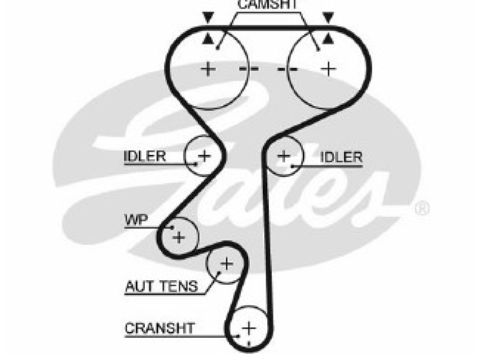 PowerGrip""_<_z_ä Belt