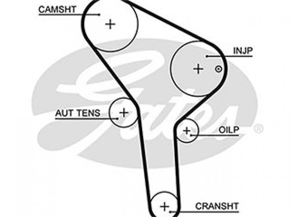 PowerGrip Belt