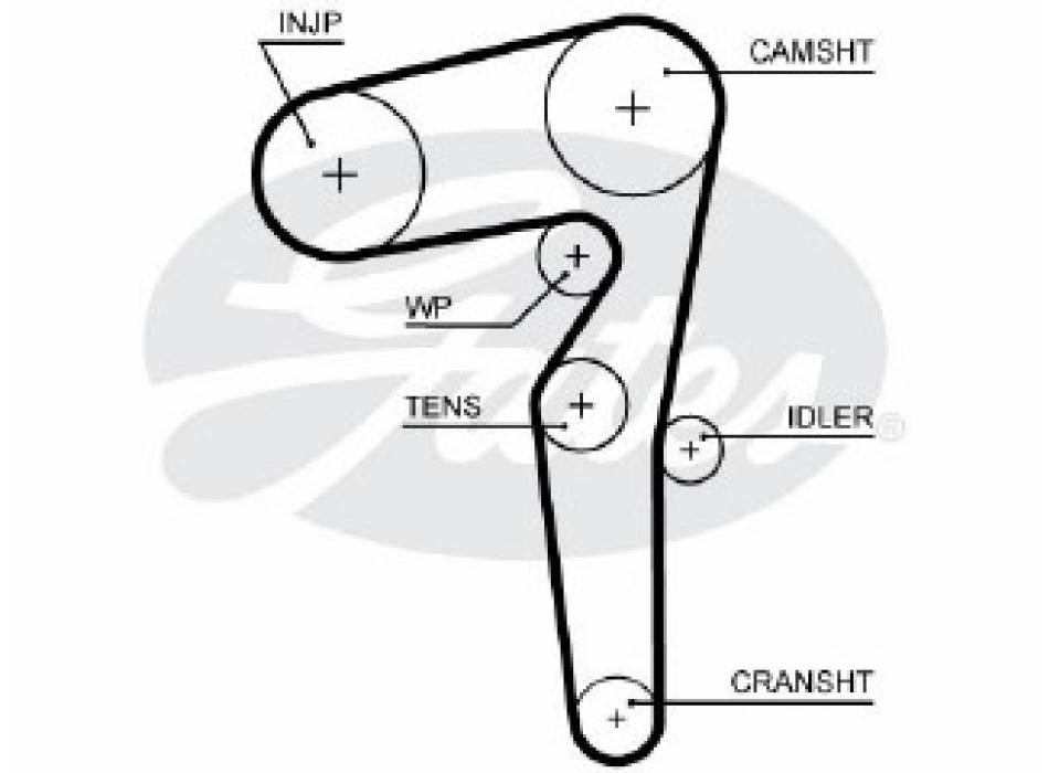 PowerGrip¶ôÇïÇÎÇ§ Belt