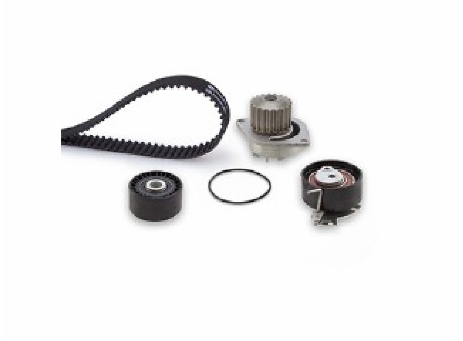 PowerGrip¶ôÇïÇÎÇ§ Kit + Waterpump