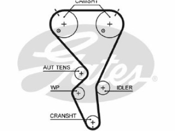 PowerGripÂ¶Ã´Ã+Ãº Belt