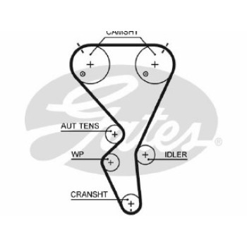 PowerGripÂ¶Ã´Ã+Ãº Belt