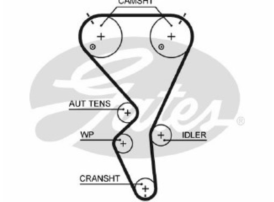 PowerGripÂ¶Ã´Ã+Ãº Belt