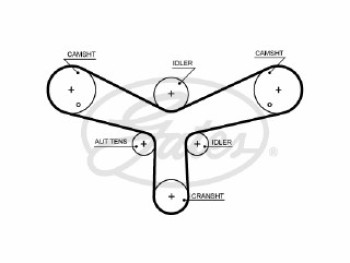 PowerGripÂ¶Â© Belt