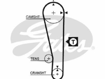 PowerGripÂ¸ Belt