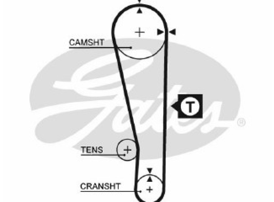 PowerGripÂ¸ Belt