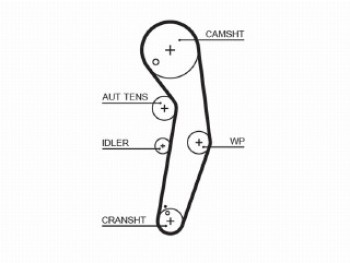 PowerGripÖ Kit + Waterpump