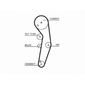 PowerGripÖ Kit + Waterpump