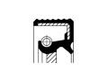 PTFE/ACM BASLRDX7FT 28X42X6