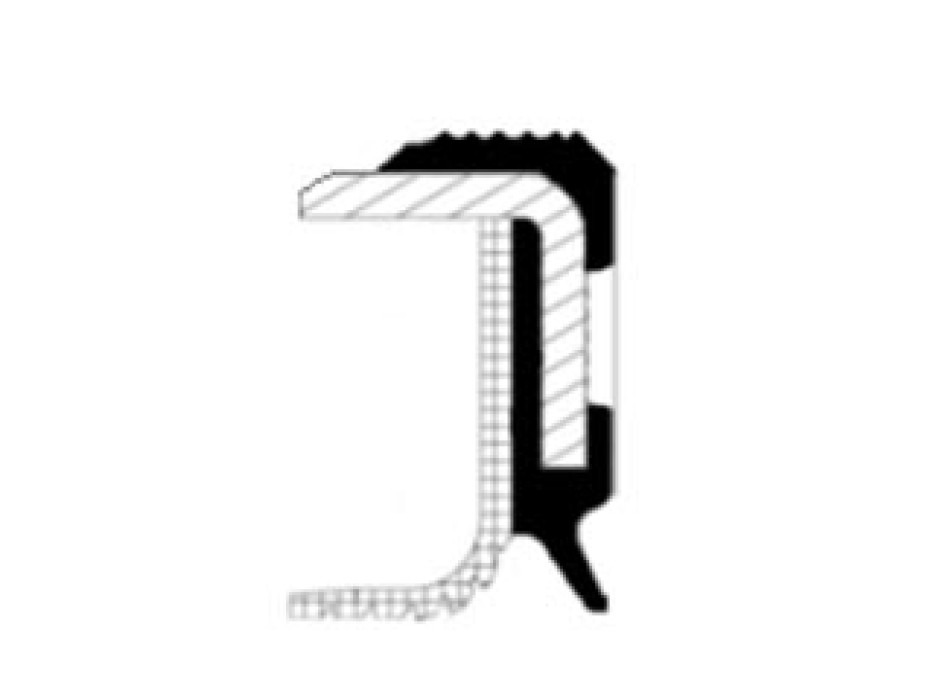 PTFE B1BASLRDX7FT 44X60X10
