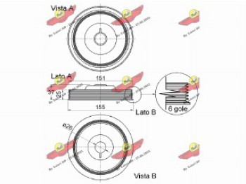 PULEGGIA SMORZATRICE